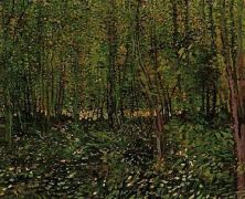 Haga click para ver la imagen ampliada 1887 trees and undergrowth.jpg